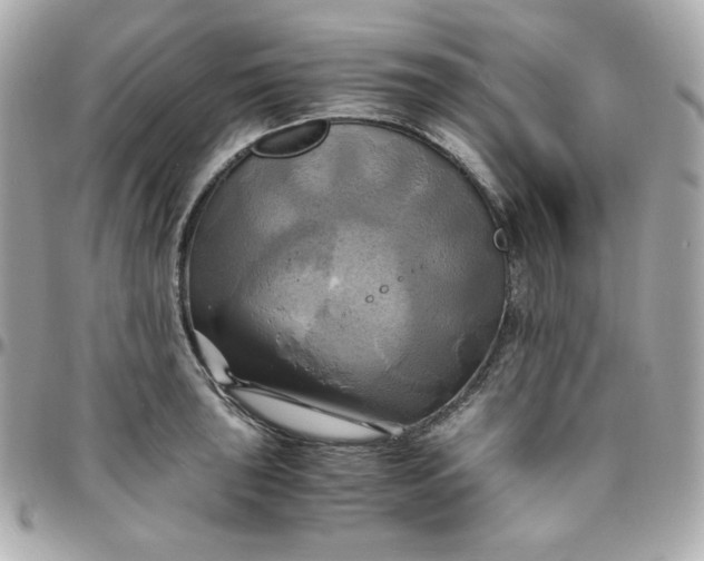 X0000096221043200802011339