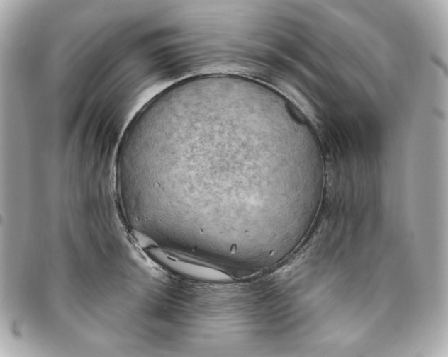 X0000096221044200802011339