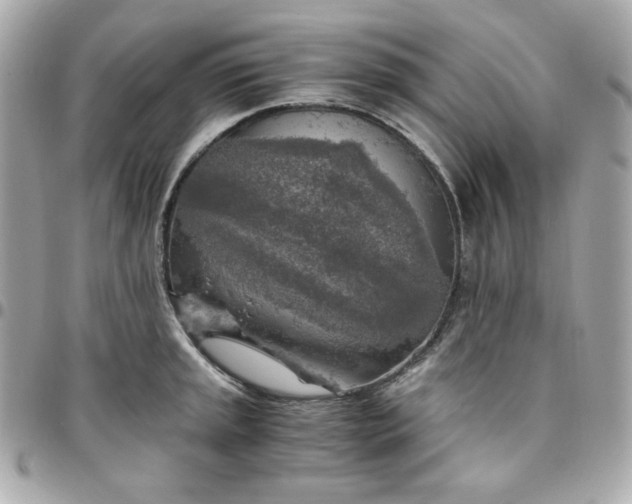 X0000096221045200802011339