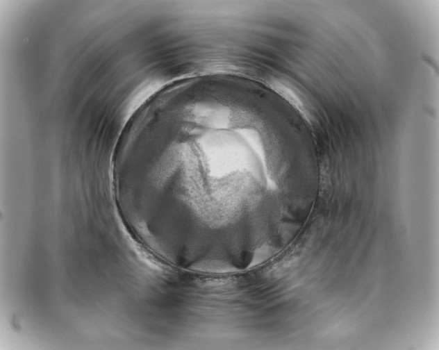 X0000096221047200802011339