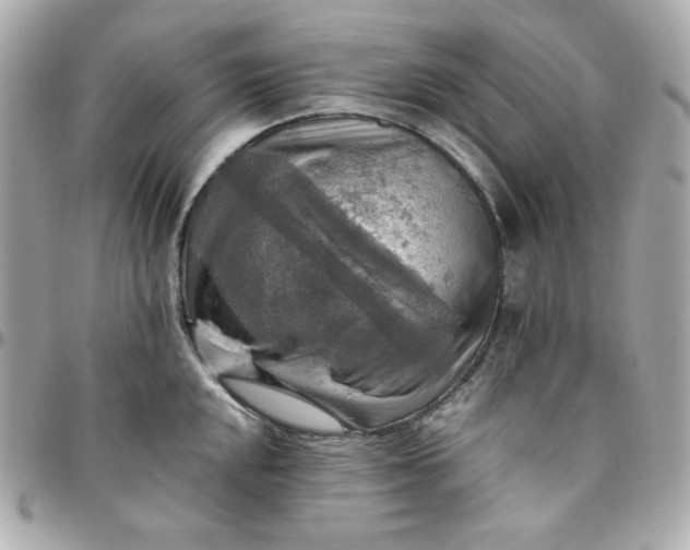 X0000096221048200802011339