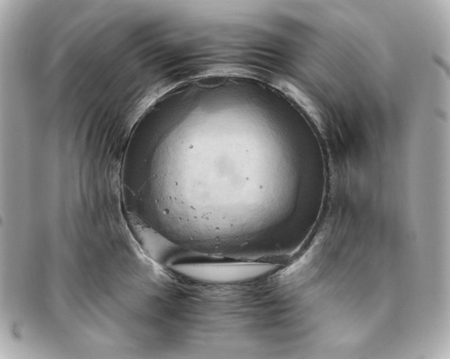 X0000096221049200802011339