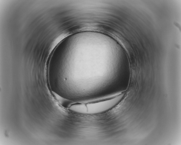 X0000096221050200802011339