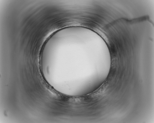 X0000096221051200802011339