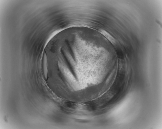 X0000096221052200802011339