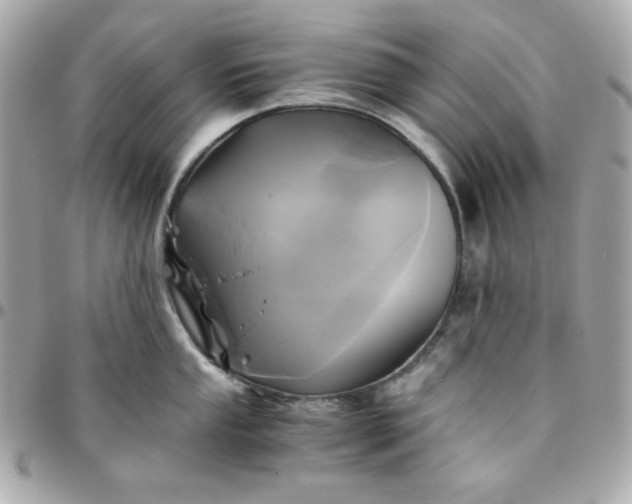 X0000096221053200802011339