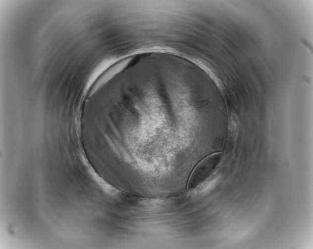 X0000096221054200802011339