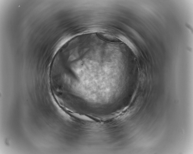 X0000096221055200802011339