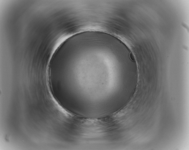 X0000096221056200802011339