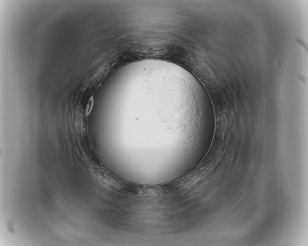 X0000096221058200802011338