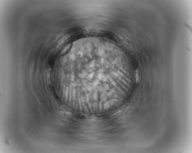 X0000096221059200802011338