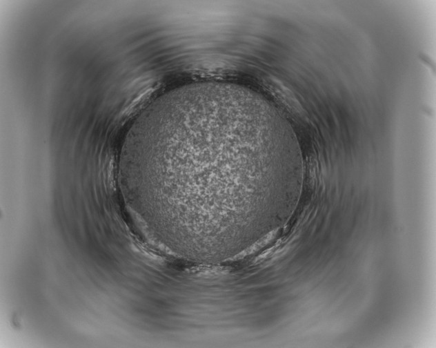 X0000096221060200802011338