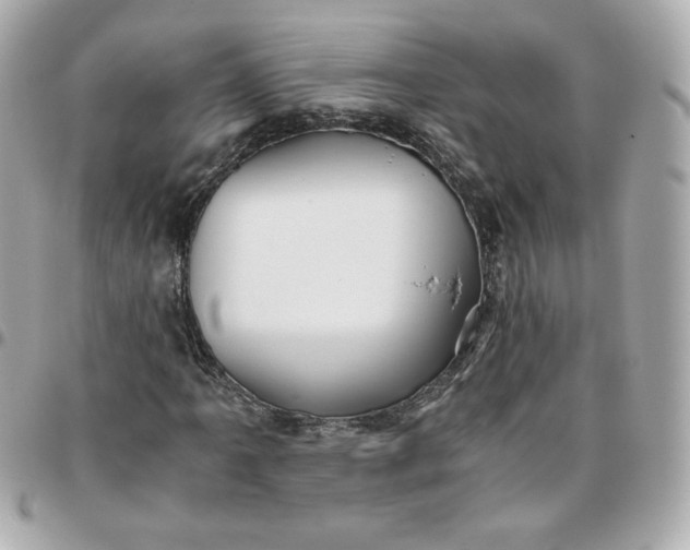 X0000096221061200802011338