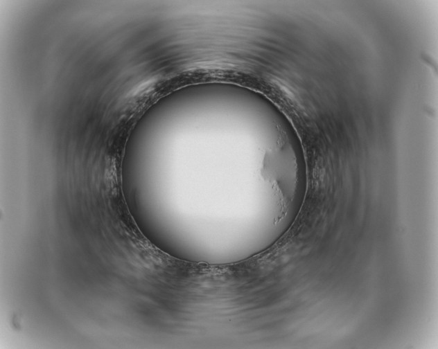 X0000096221062200802011338