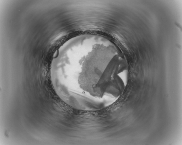 X0000096221063200802011338