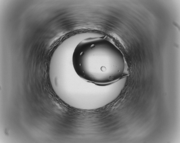 X0000096221064200802011338