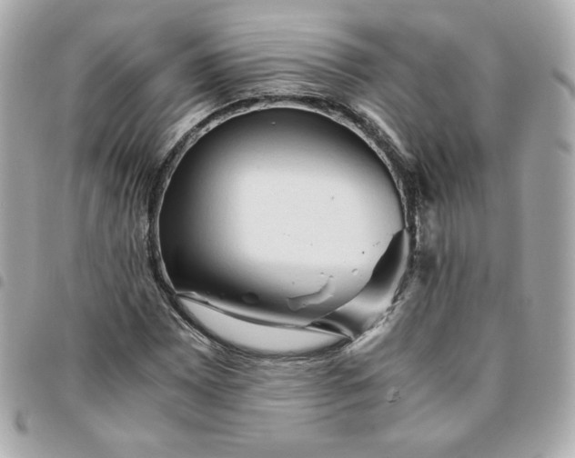 X0000096221065200802011338