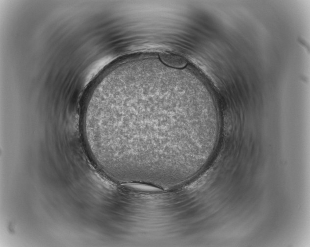 X0000096221066200802011338