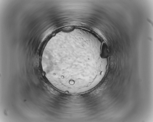 X0000096221067200802011338