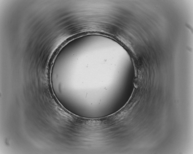 X0000096221068200802011338