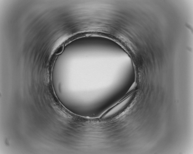 X0000096221069200802011338