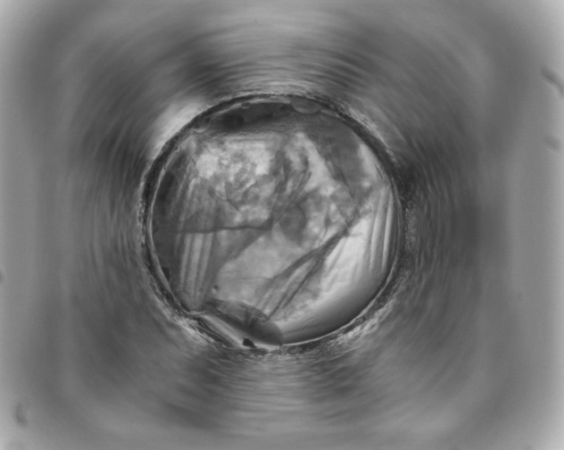 X0000096221071200802011338