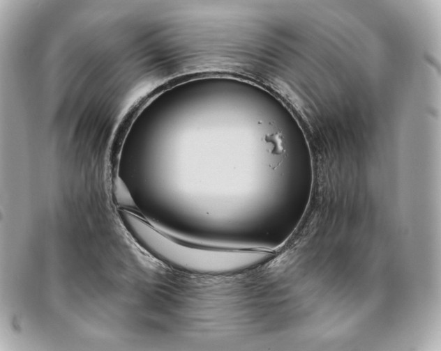 X0000096221072200802011338