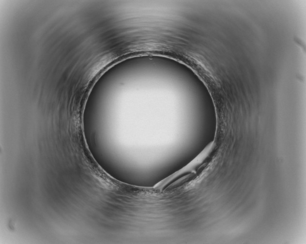 X0000096221073200802011338