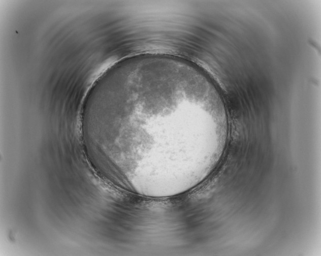 X0000096221074200802011338