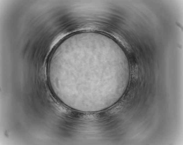 X0000096221078200802011338