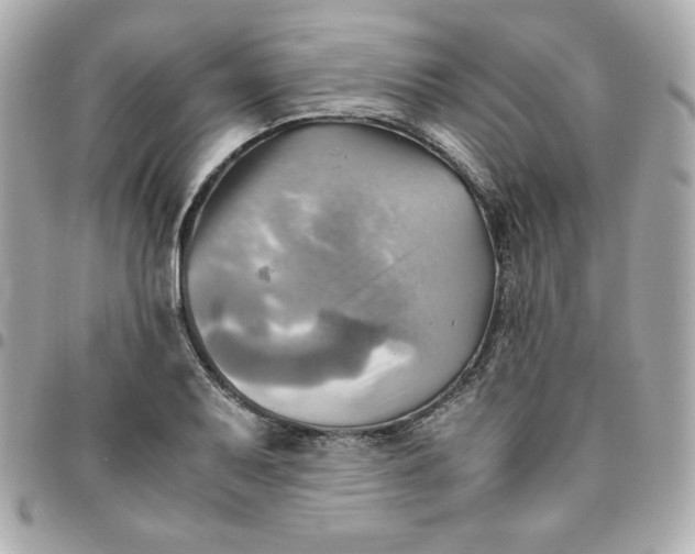 X0000096221079200802011338