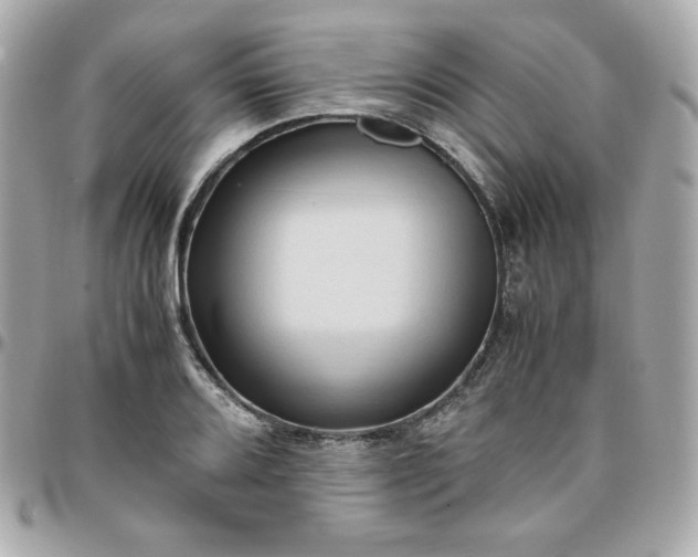 X0000096221080200802011338