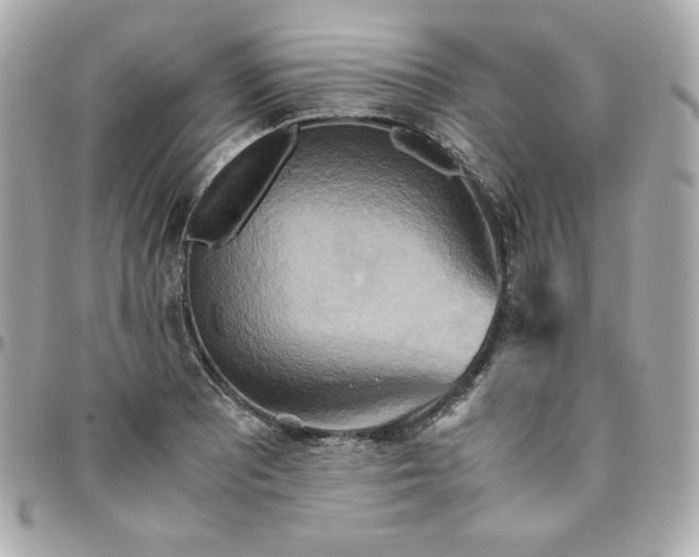 X0000096221081200802011338