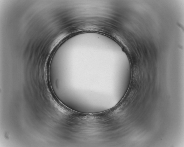 X0000096221082200802011338