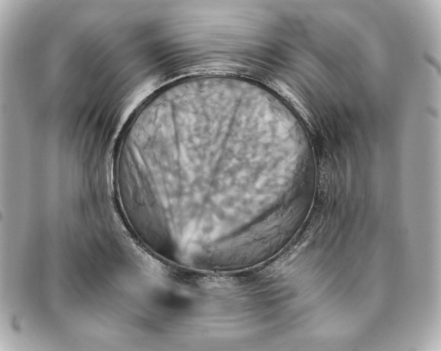 X0000096221083200802011338