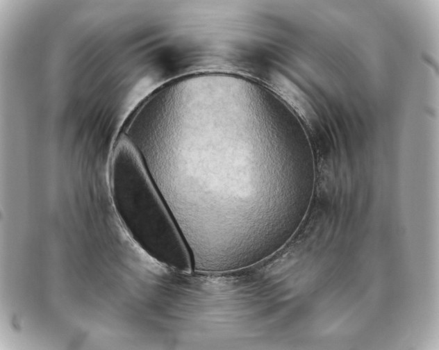 X0000096221084200802011338