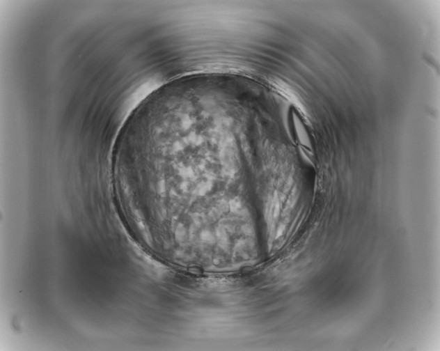 X0000096221087200802011338