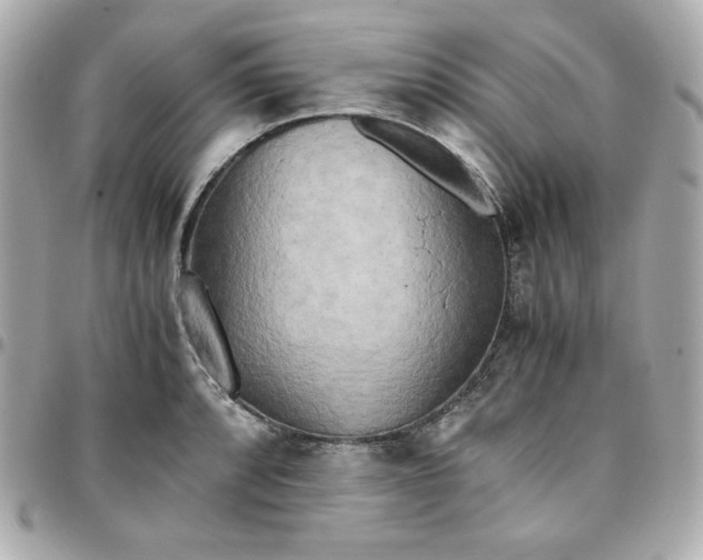 X0000096221088200802011338