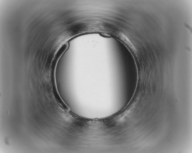 X0000096221089200802011338