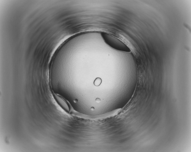 X0000096221092200802011338