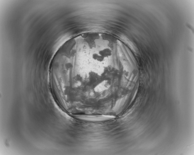 X0000096221095200802011338