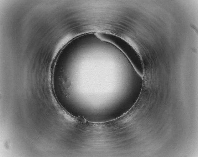 X0000096221096200802011337