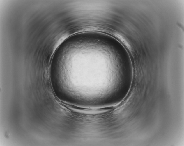 X0000096221097200802011337