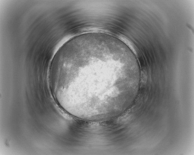 X0000096221098200802011337