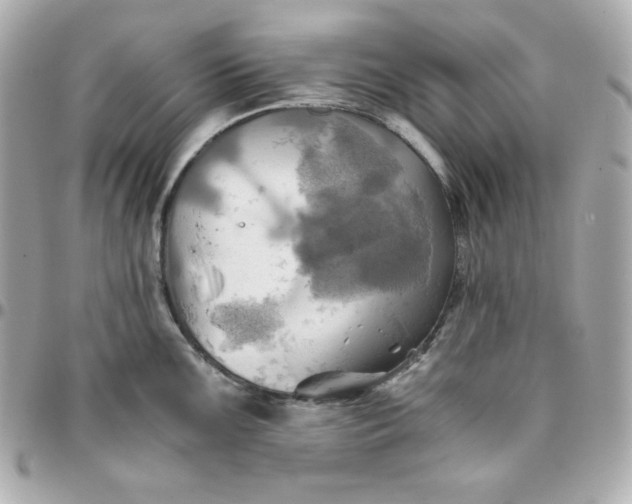 X0000096221099200802011337