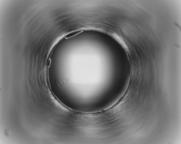 X0000096221100200802011337