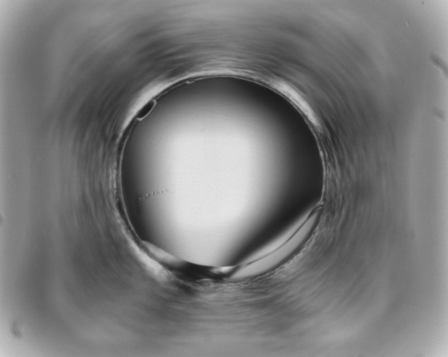 X0000096221101200802011337