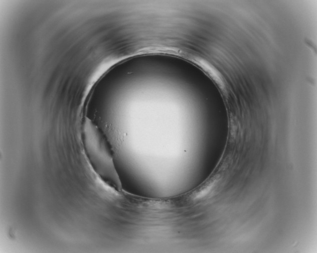 X0000096221102200802011337