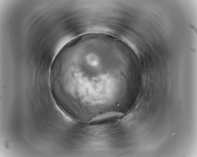 X0000096221103200802011337