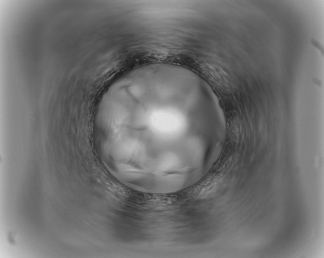 X0000096221105200802011337